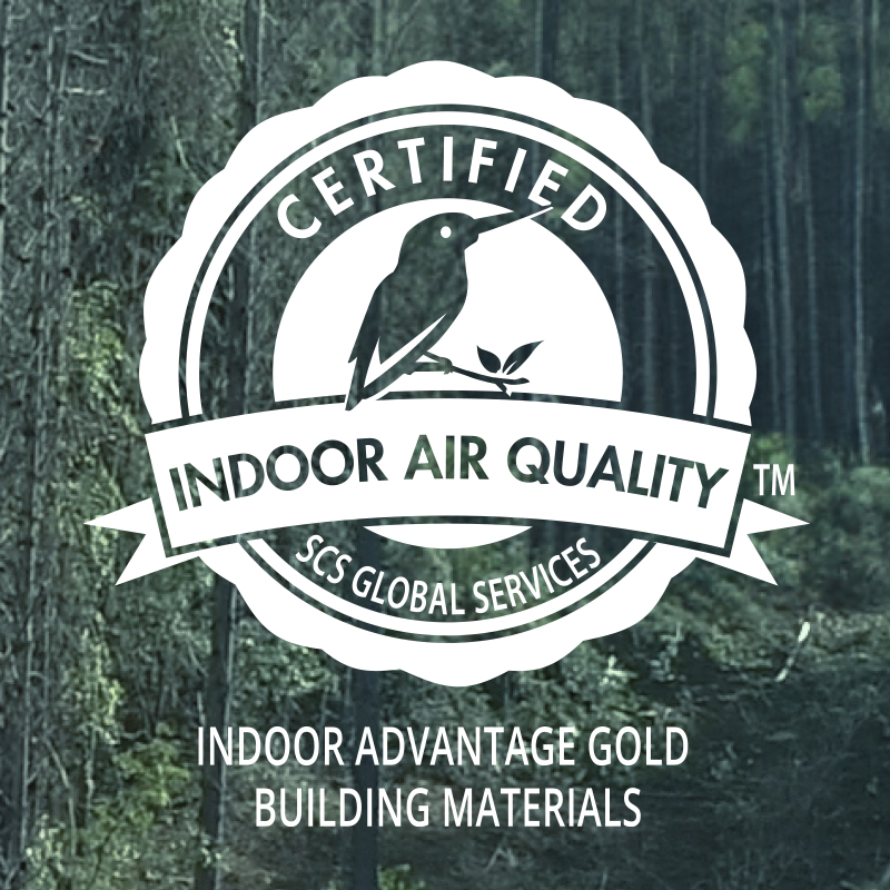 indoor air quality logo on forest background